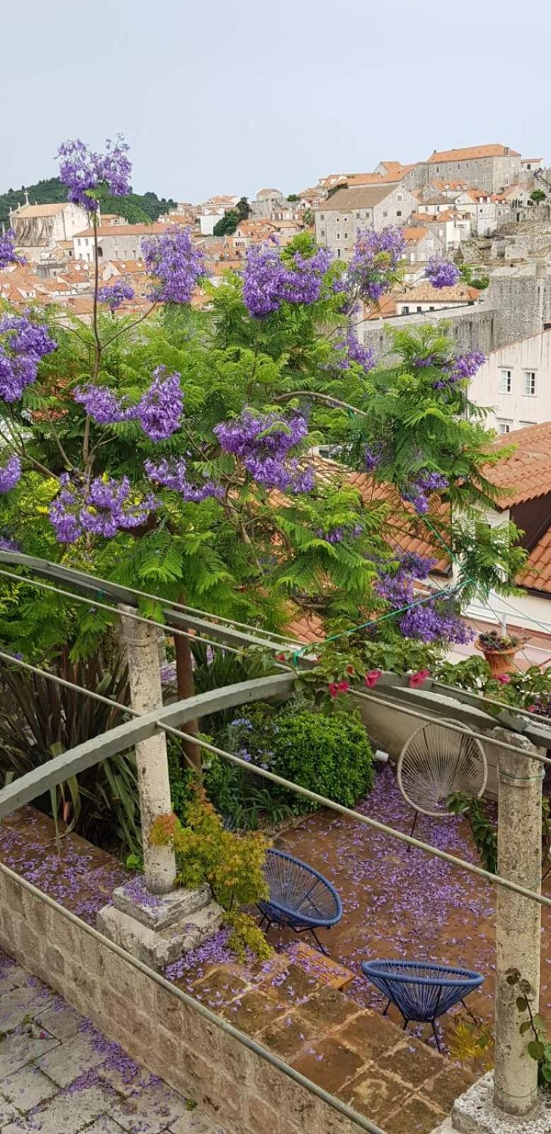 Villa Ani Apartment Ariel دوبروفينك المظهر الخارجي الصورة